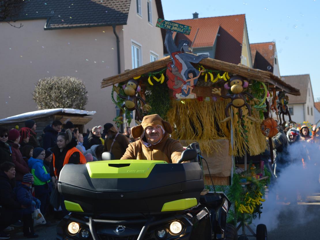 Faschingsumzug Megesheim 2025
