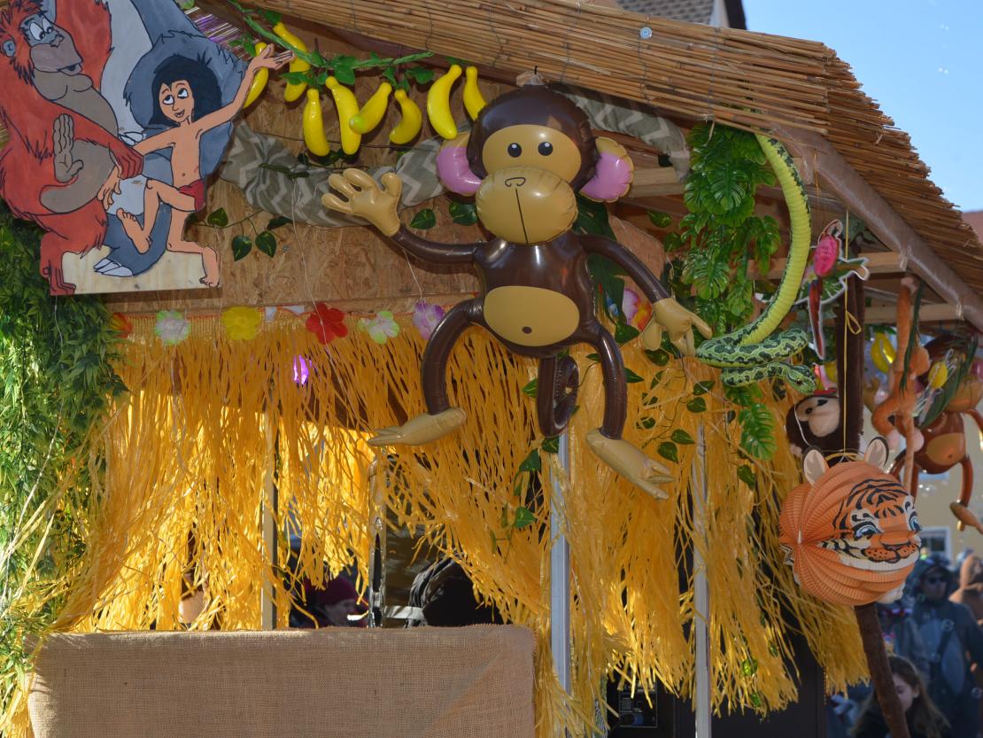 Faschingsumzug Megesheim 2025