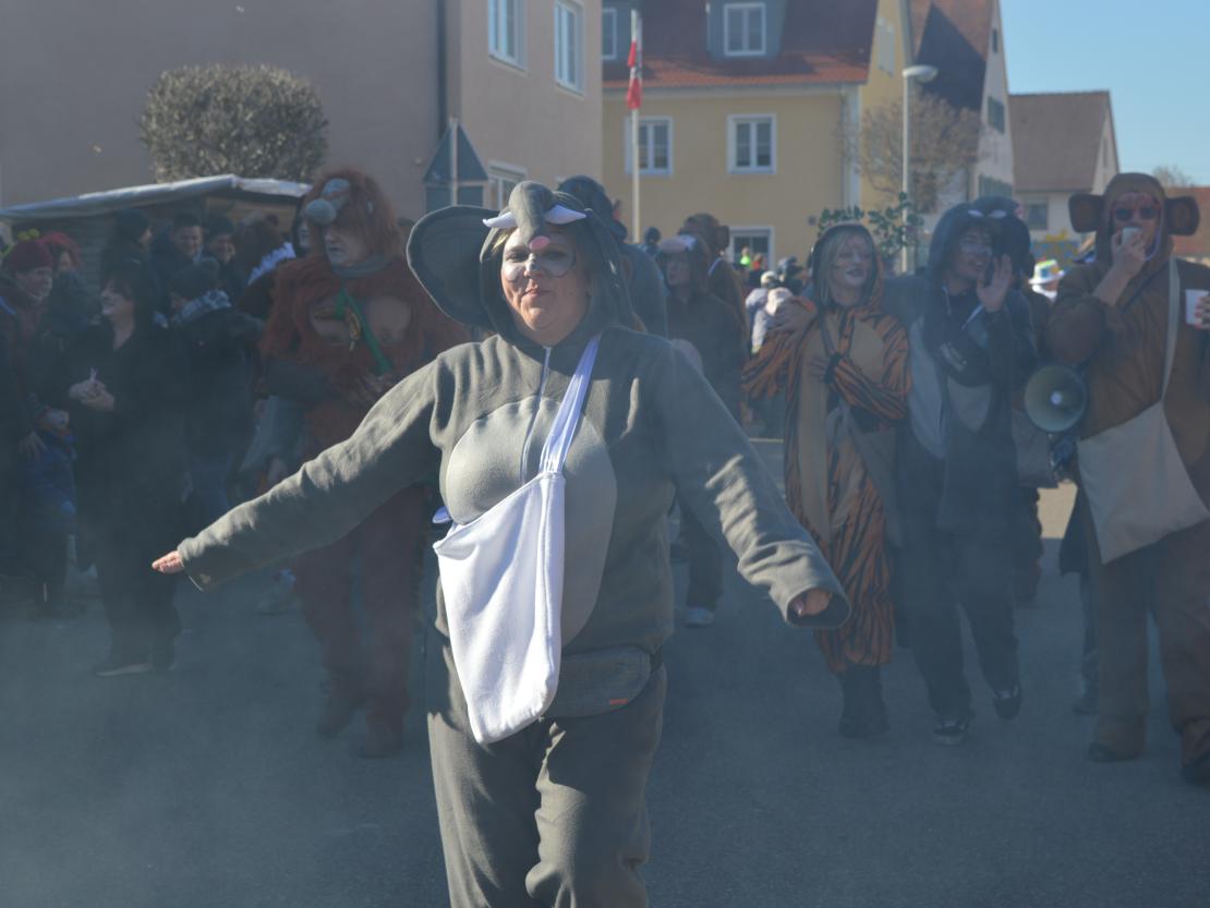 Faschingsumzug Megesheim 2025