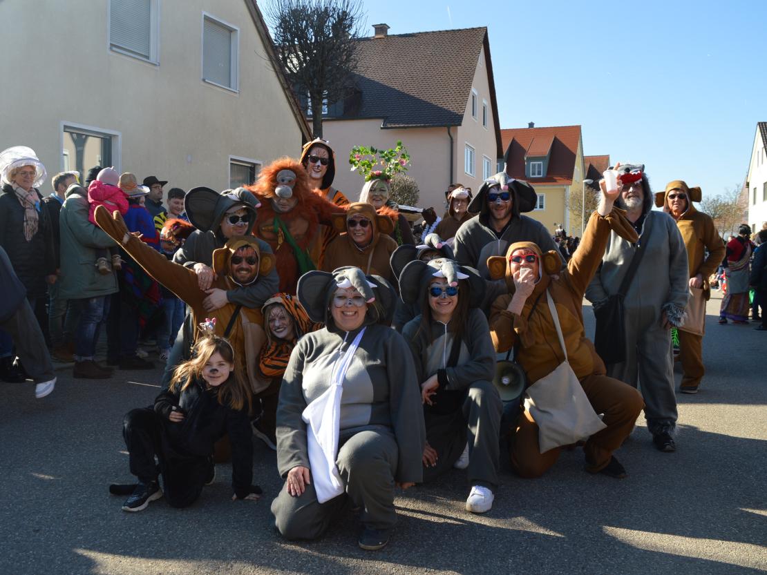 Faschingsumzug Megesheim 2025