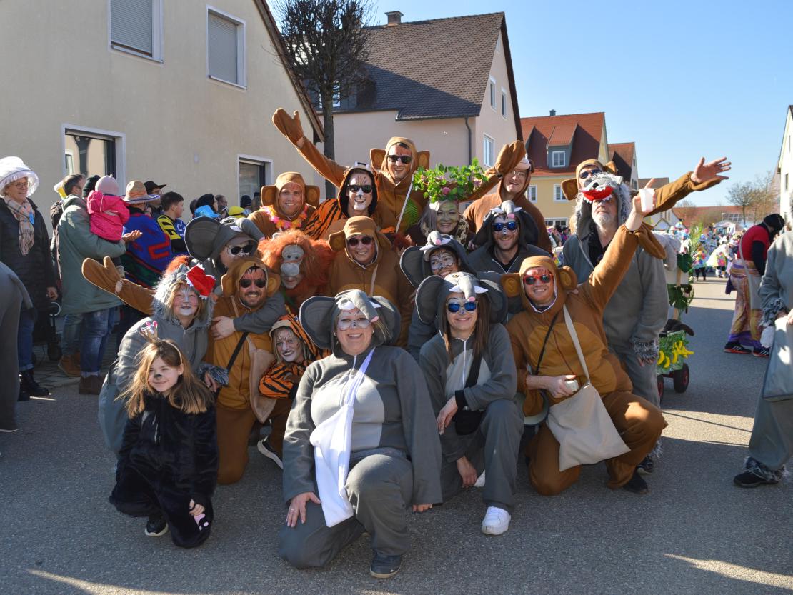 Faschingsumzug Megesheim 2025
