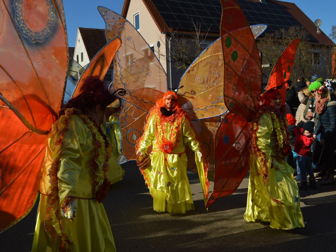 Faschingsumzug Megesheim 2025