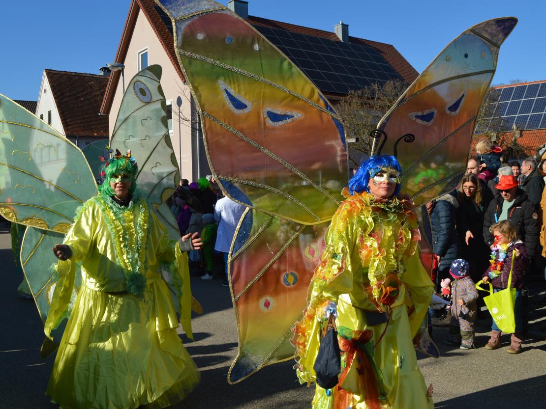 Faschingsumzug Megesheim 2025