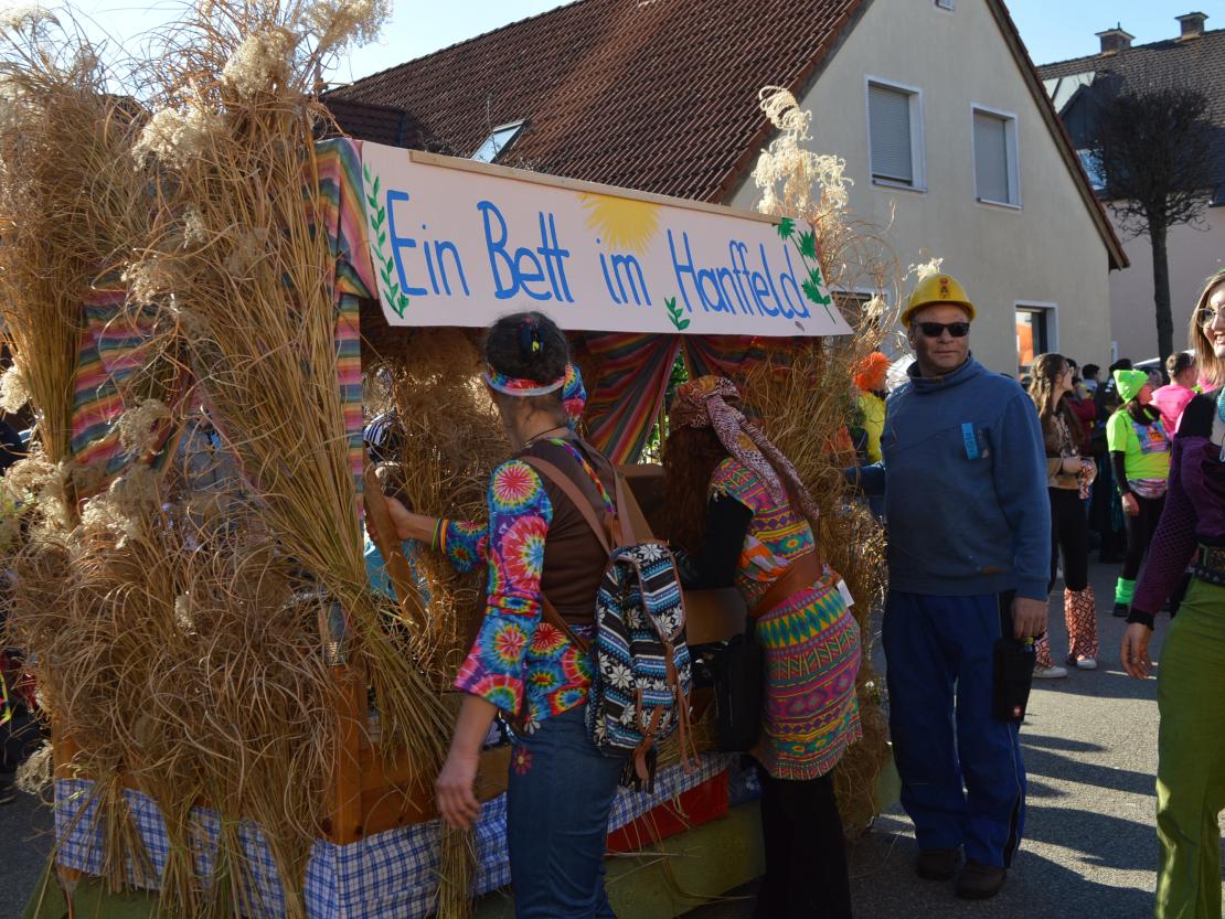 Faschingsumzug Megesheim 2025