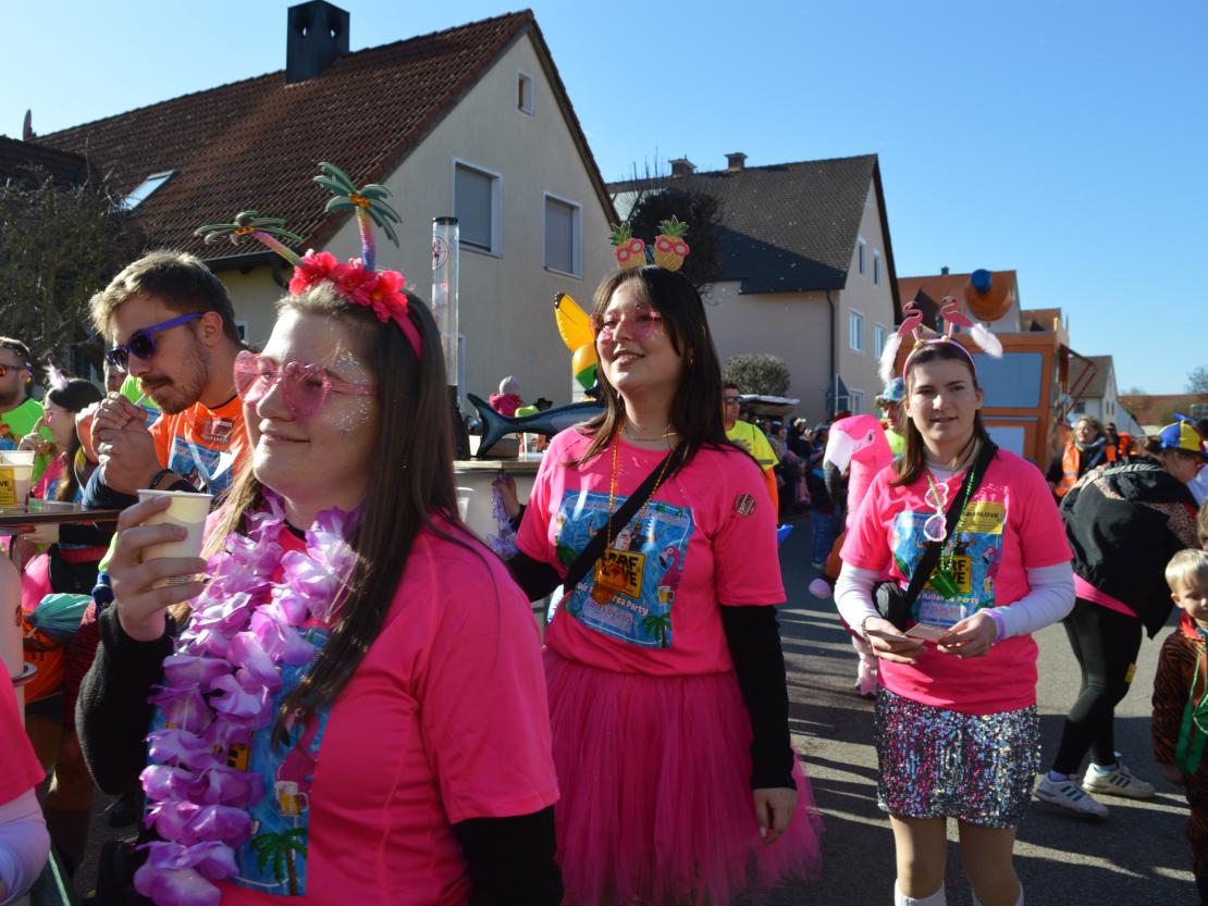 Faschingsumzug Megesheim 2025