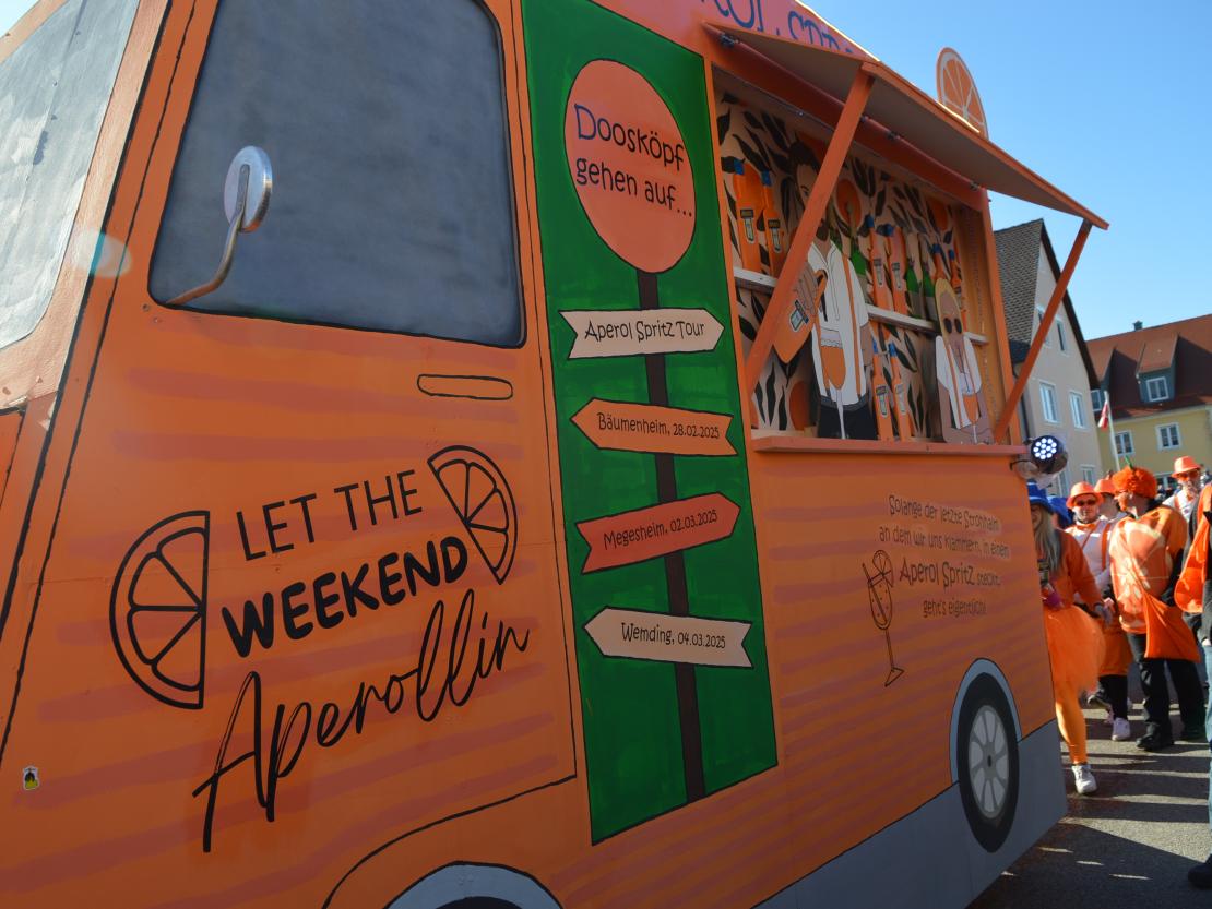 Faschingsumzug Megesheim 2025