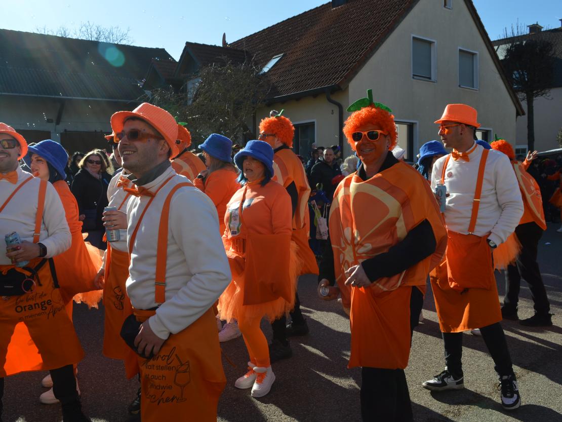 Faschingsumzug Megesheim 2025