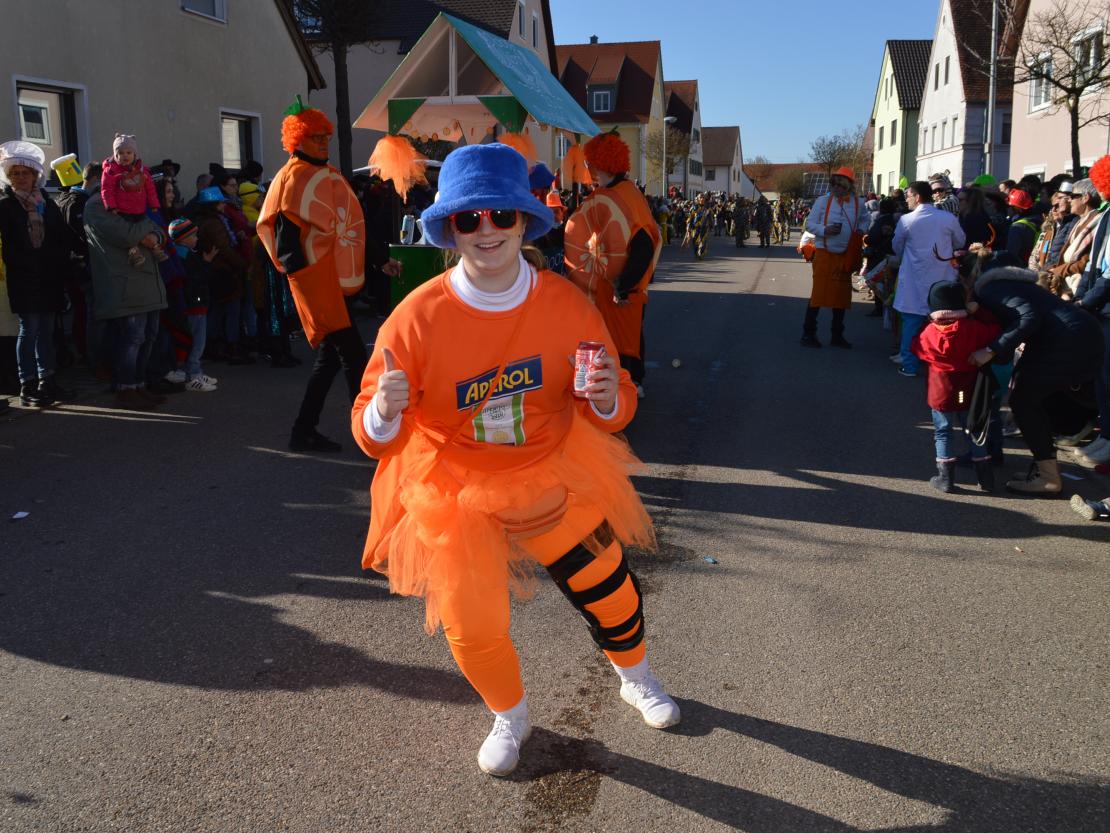 Faschingsumzug Megesheim 2025