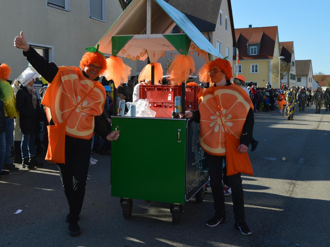 Faschingsumzug Megesheim 2025