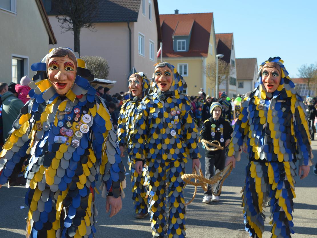Faschingsumzug Megesheim 2025