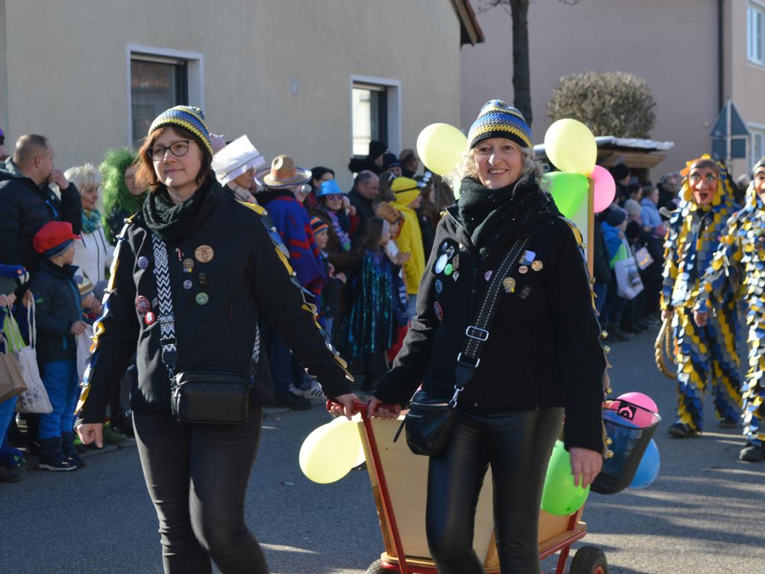 Faschingsumzug Megesheim 2025