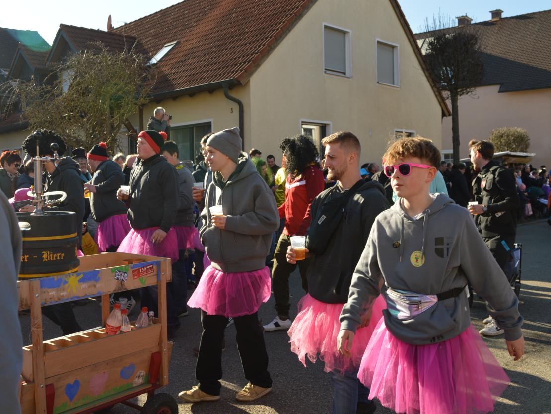 Faschingsumzug Megesheim 2025
