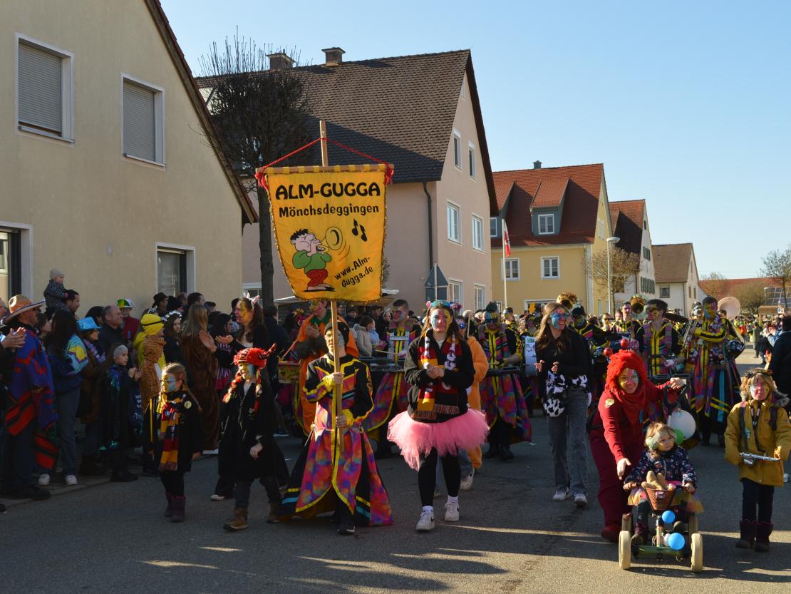 Faschingsumzug Megesheim 2025