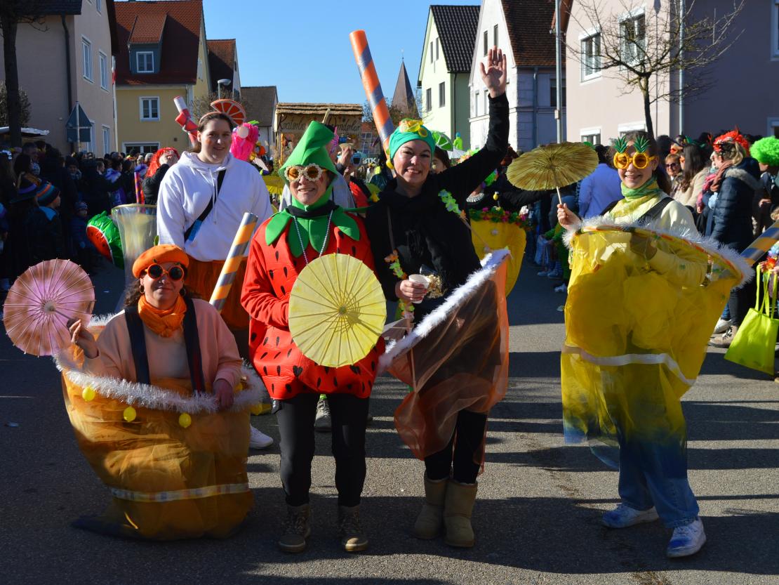 Faschingsumzug Megesheim 2025