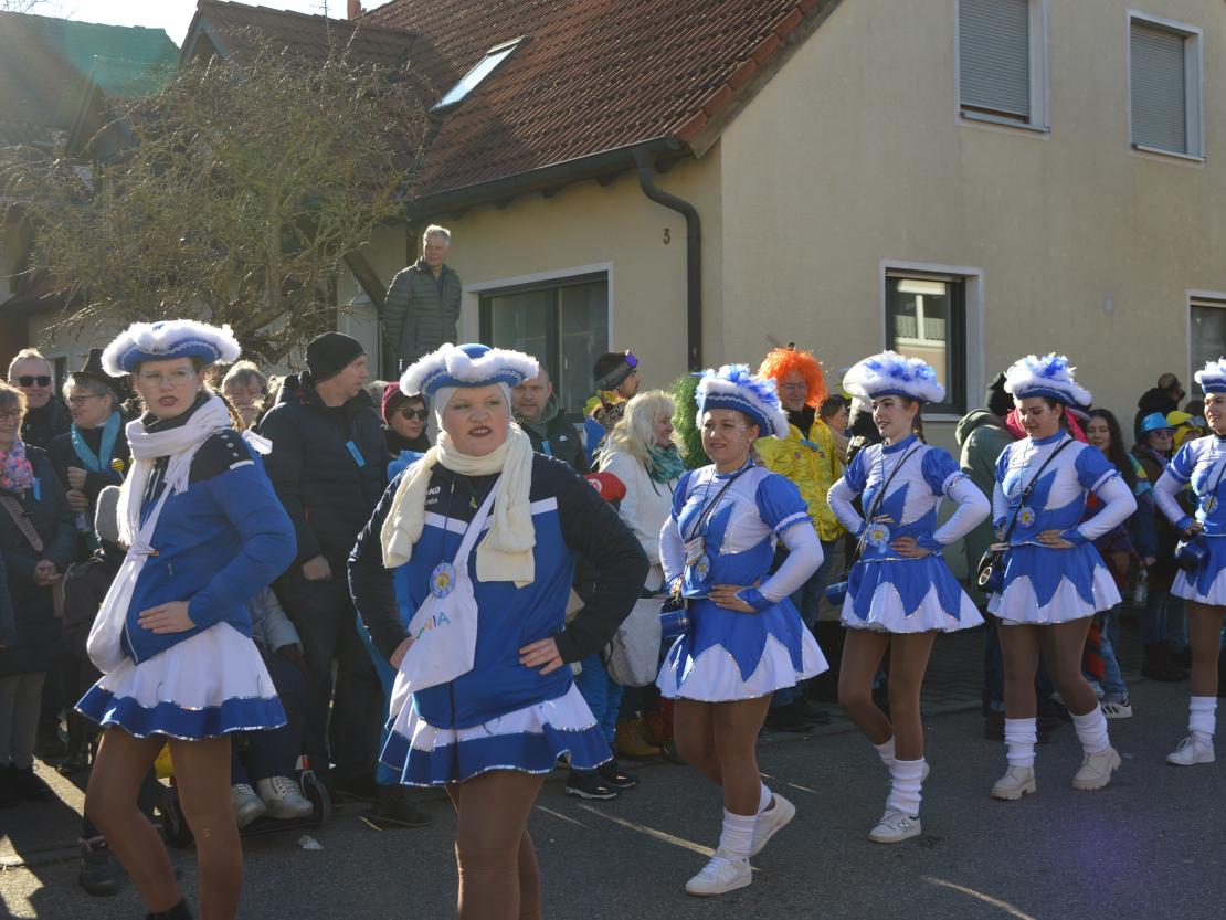 Faschingsumzug Megesheim 2025