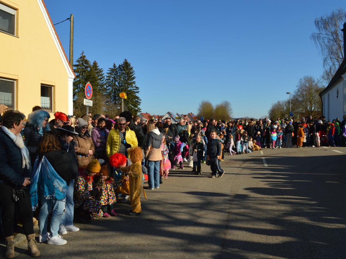 Faschingsumzug Megesheim 2025