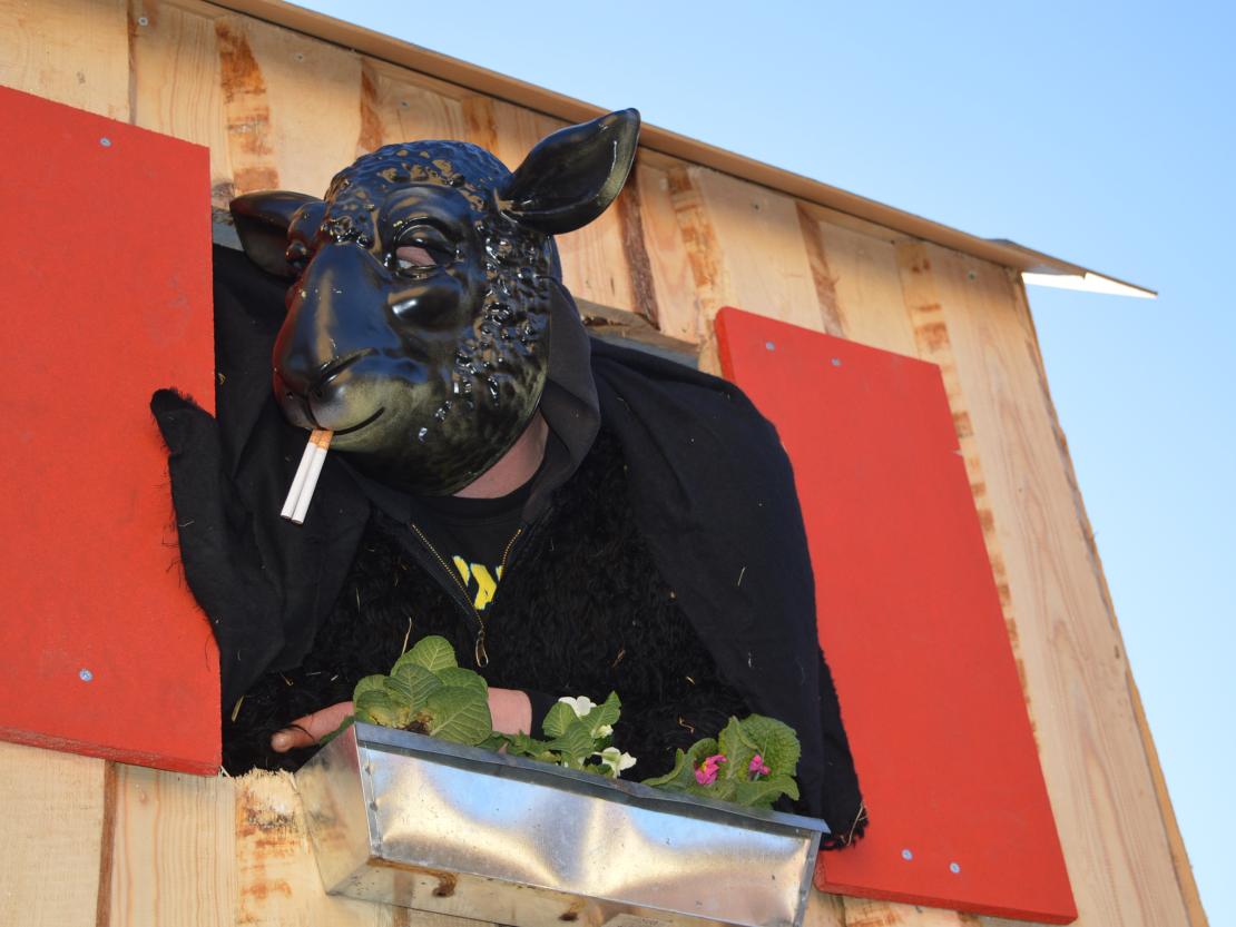 Faschingsumzug Megesheim 2025