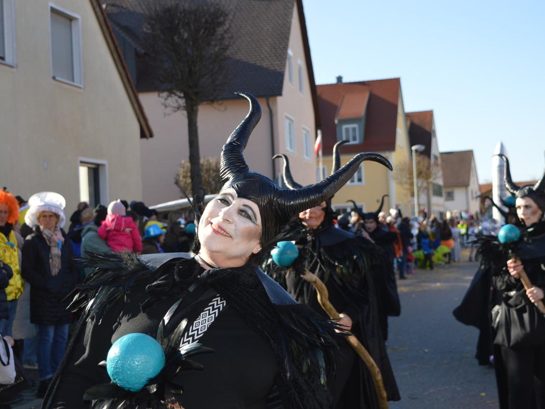 Faschingsumzug Megesheim 2025
