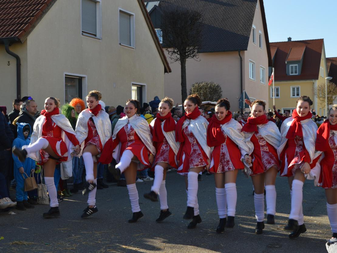 Faschingsumzug Megesheim 2025