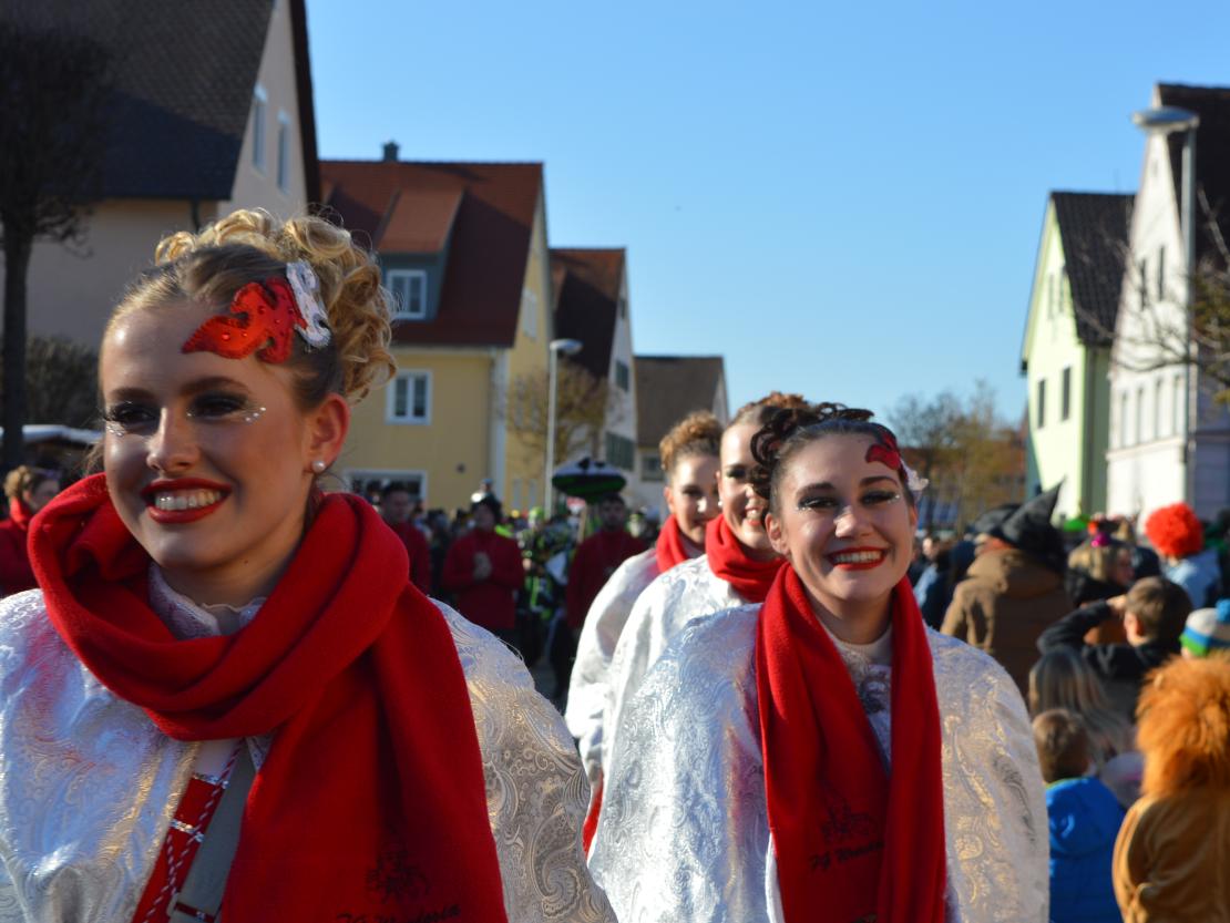 Faschingsumzug Megesheim 2025