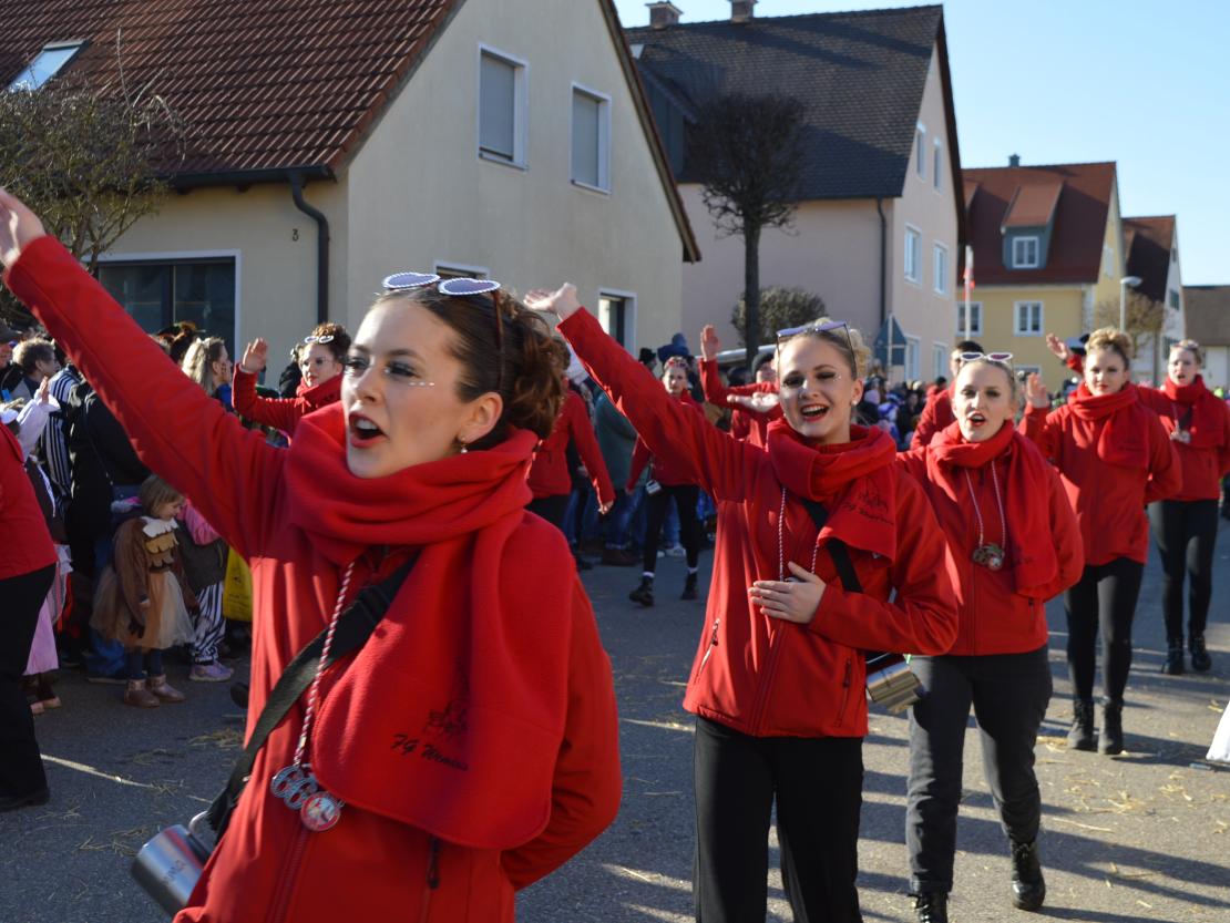 Faschingsumzug Megesheim 2025
