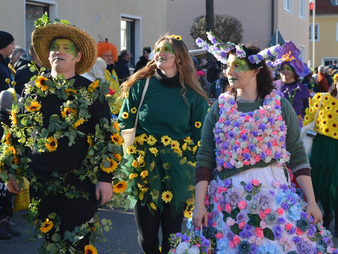 Faschingsumzug Megesheim 2025