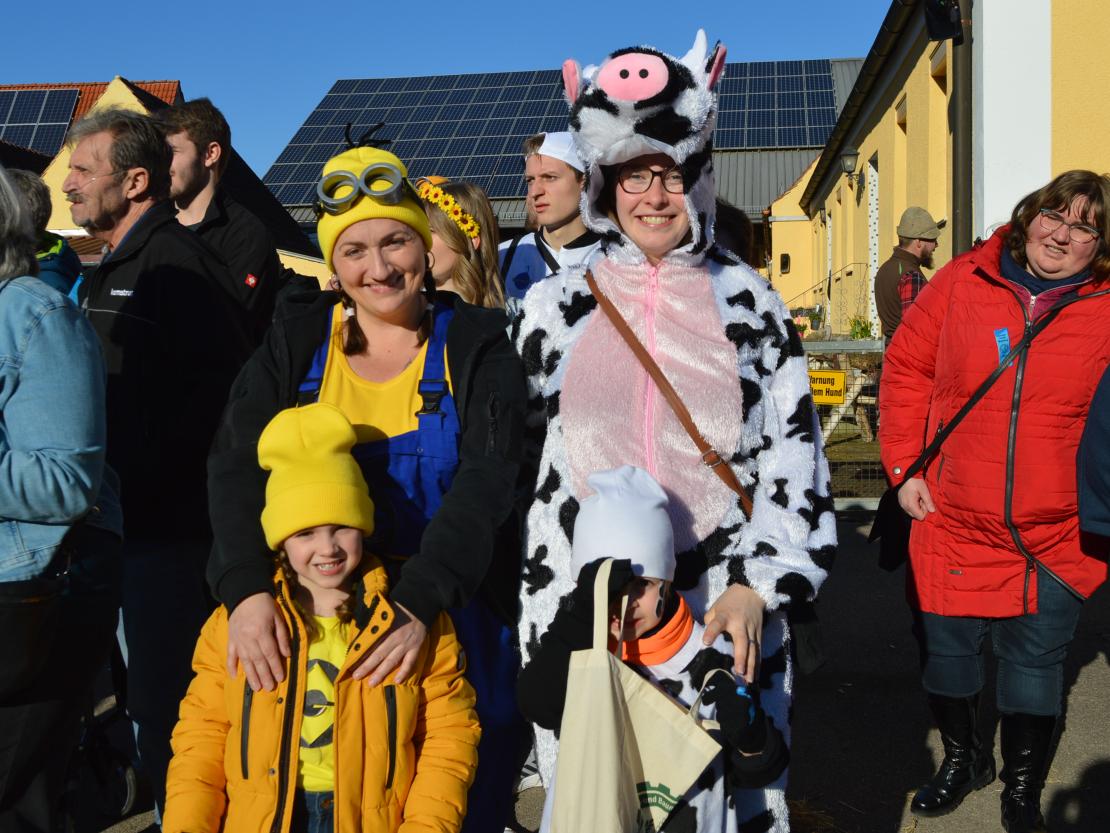 Faschingsumzug Megesheim 2025