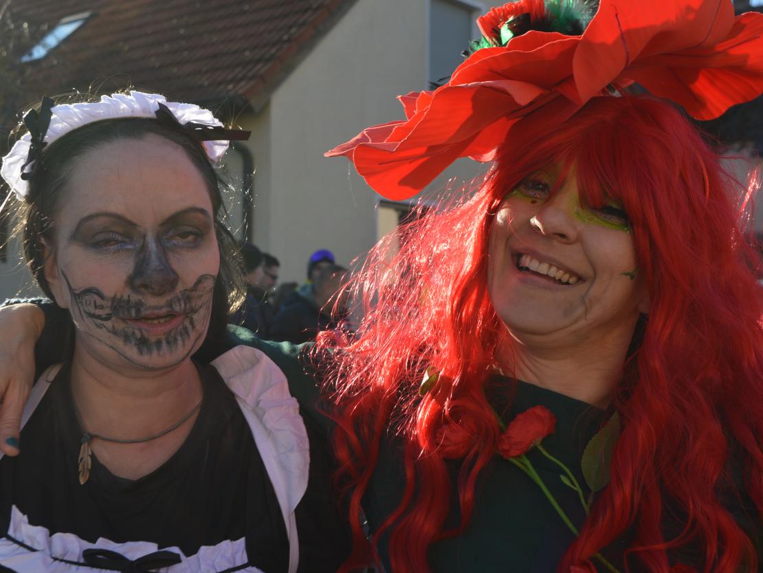 Faschingsumzug Megesheim 2025