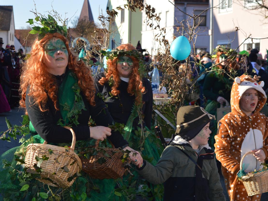 Faschingsumzug Megesheim 2025