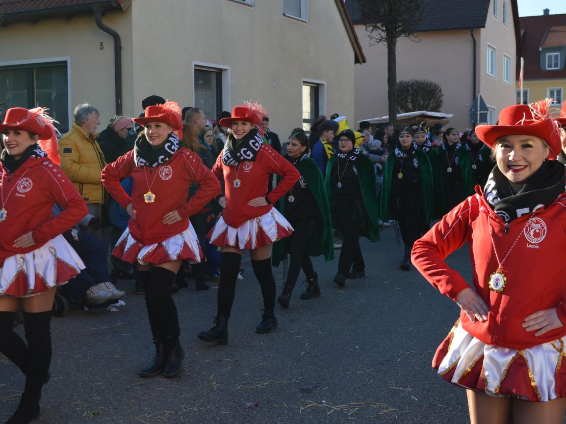 Faschingsumzug Megesheim 2025