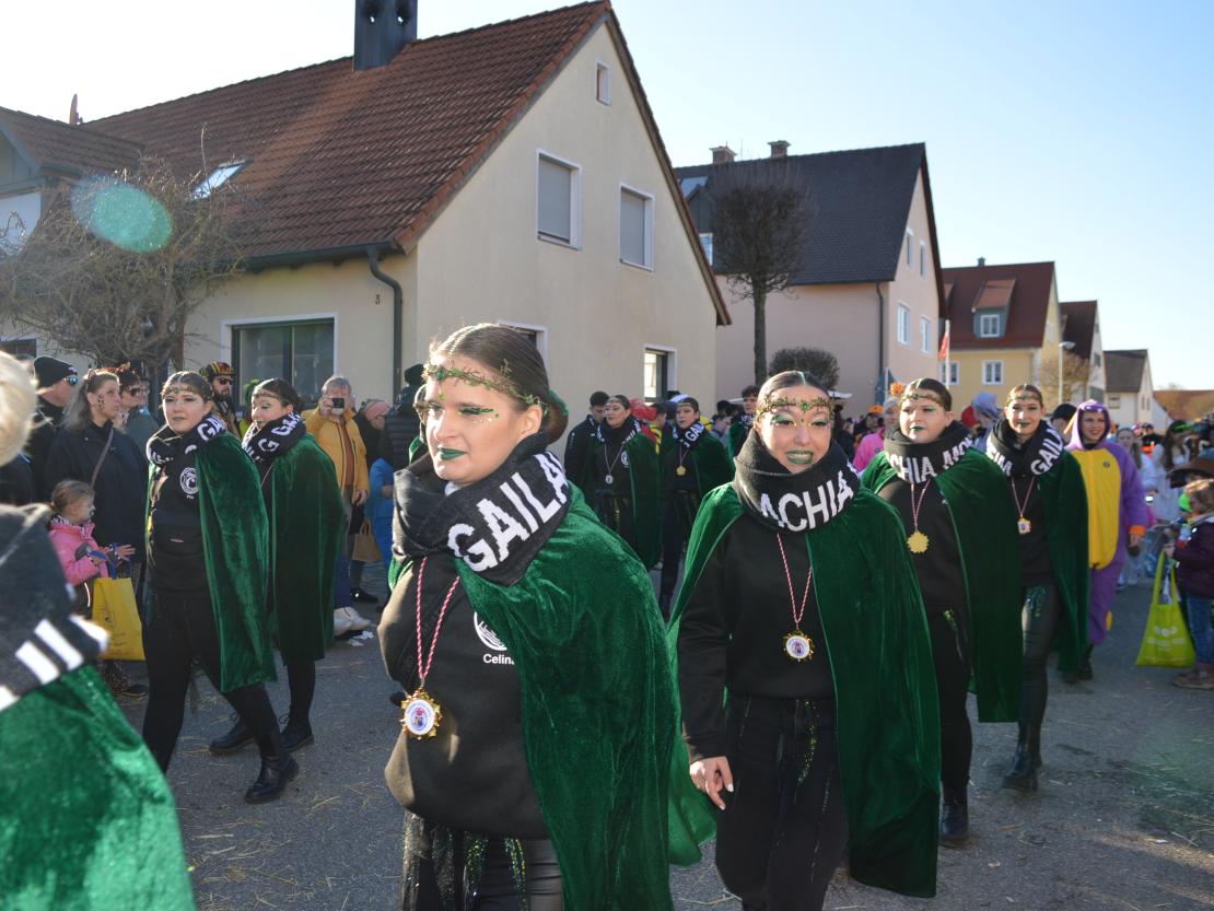 Faschingsumzug Megesheim 2025