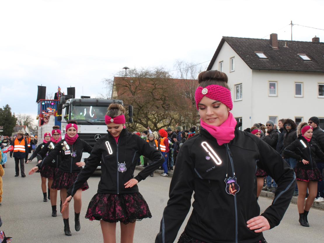 Faschingsumzug Genderkingen 2025