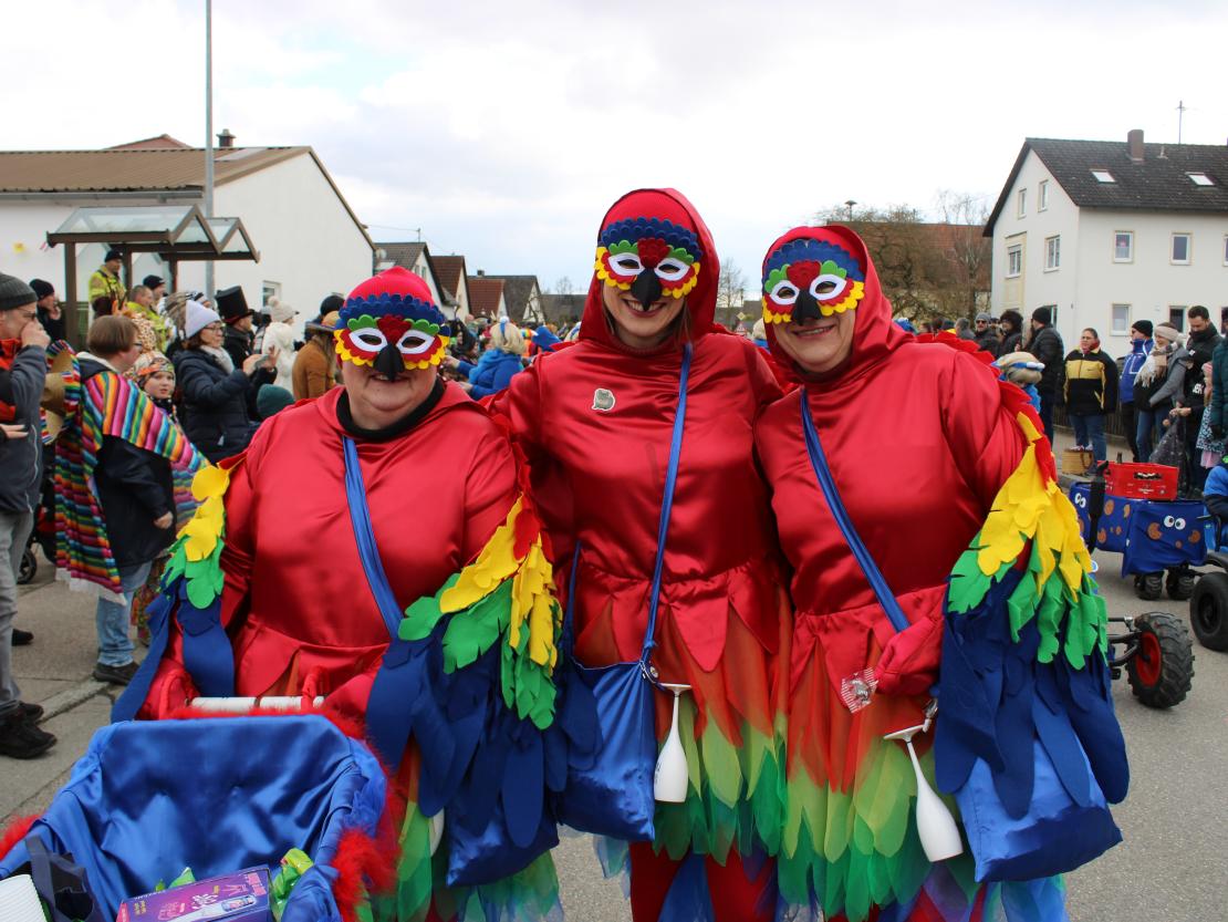 Faschingsumzug Genderkingen 2025