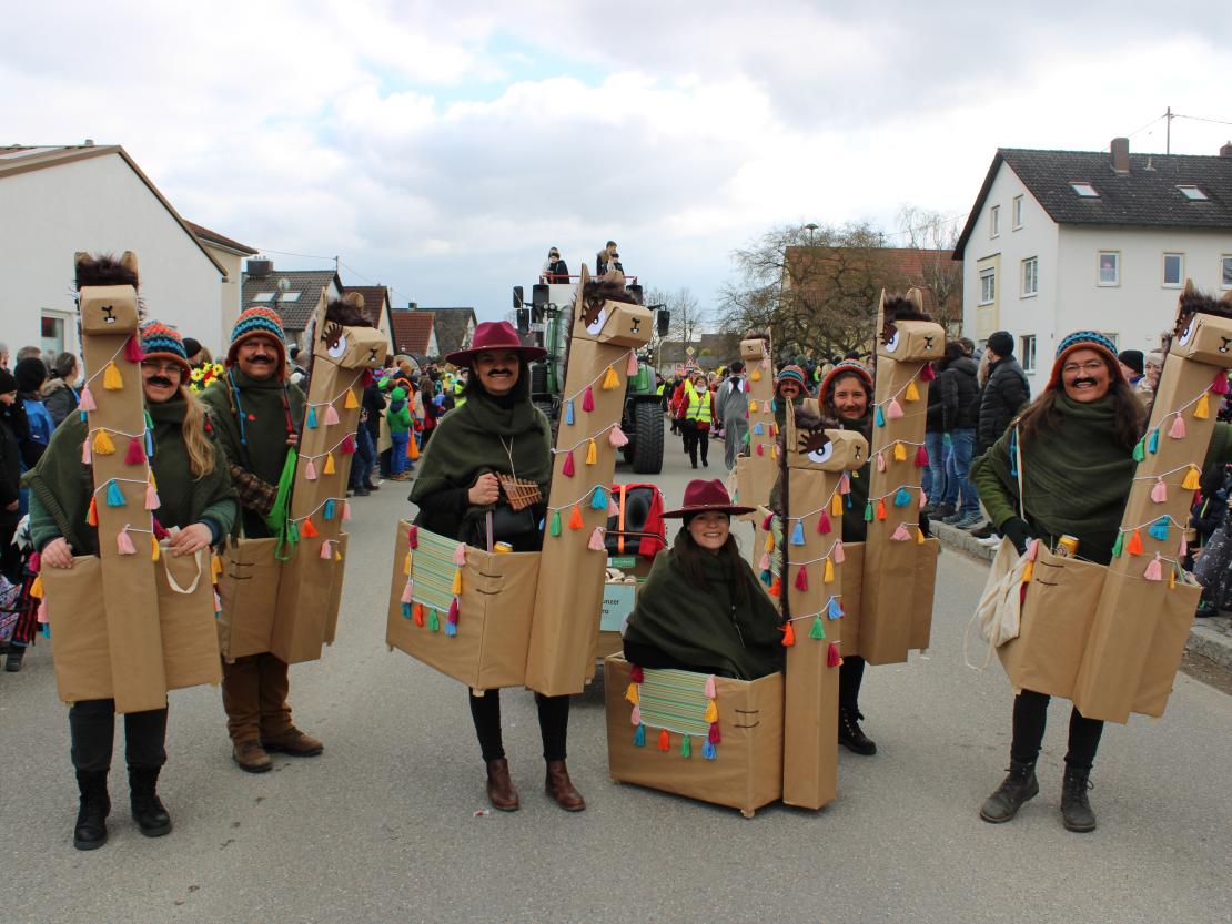 Faschingsumzug Genderkingen 2025