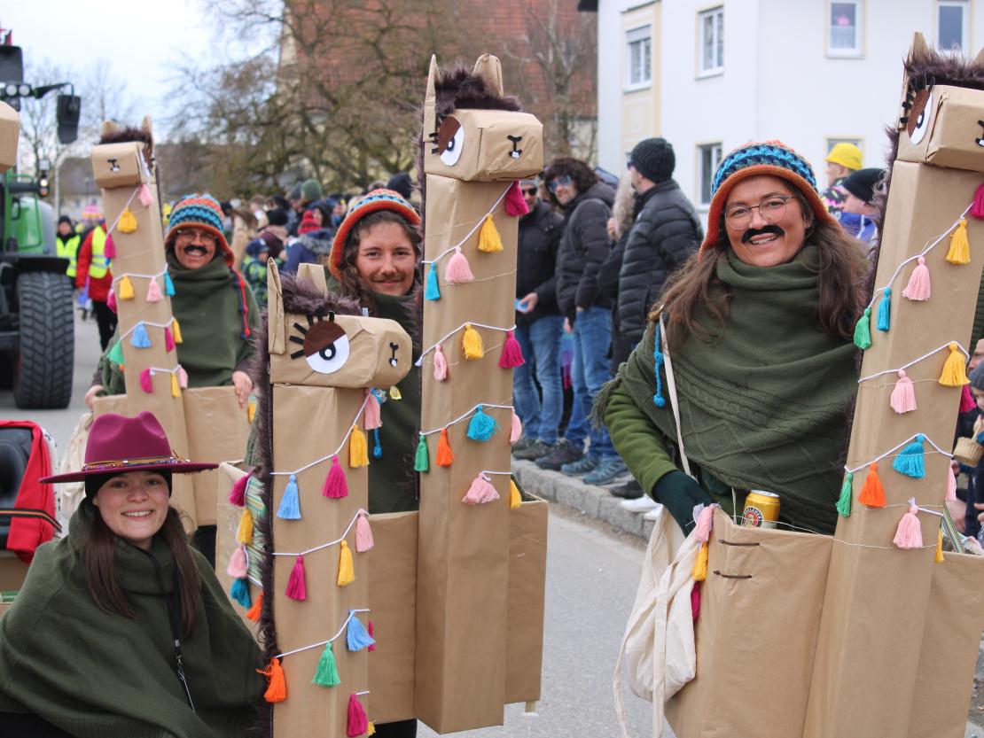 Faschingsumzug Genderkingen 2025