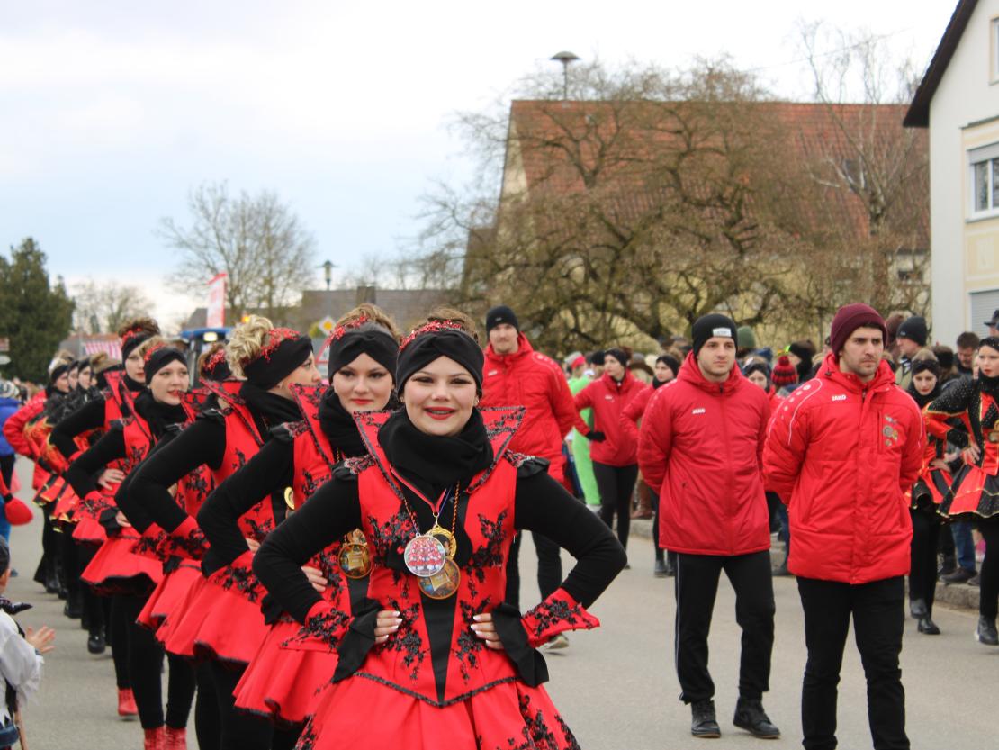 Faschingsumzug Genderkingen 2025