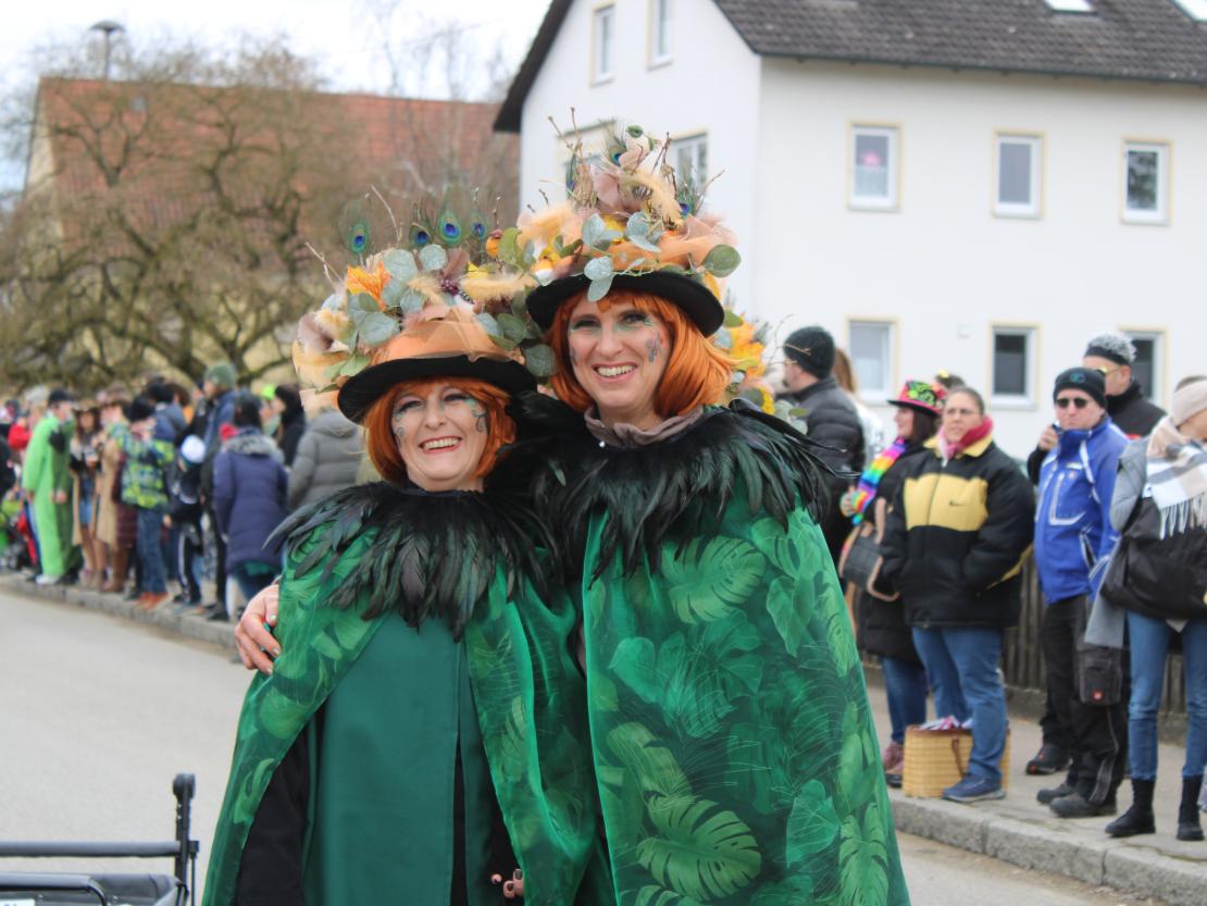 Faschingsumzug Genderkingen 2025