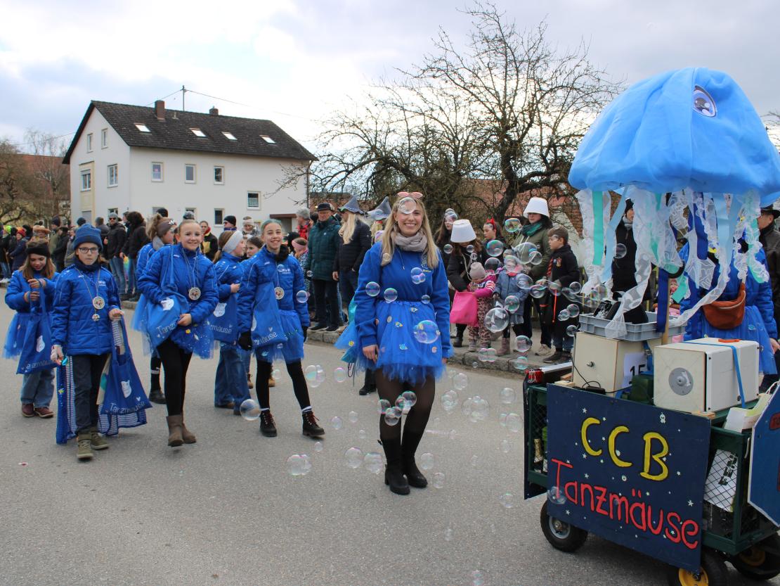 Faschingsumzug Genderkingen 2025