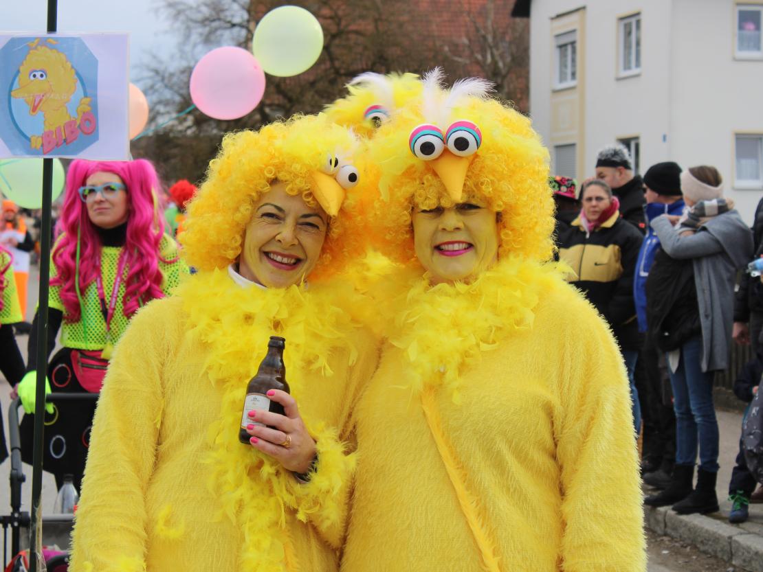 Faschingsumzug Genderkingen 2025