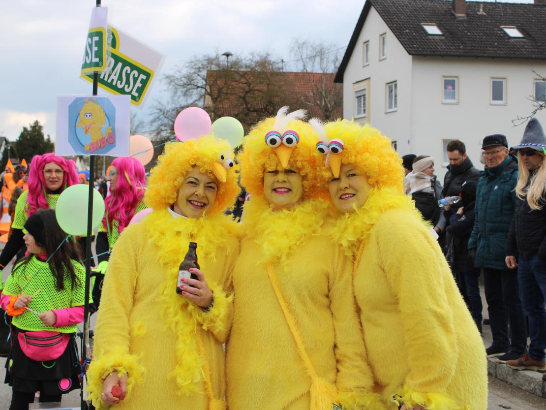 Faschingsumzug Genderkingen 2025