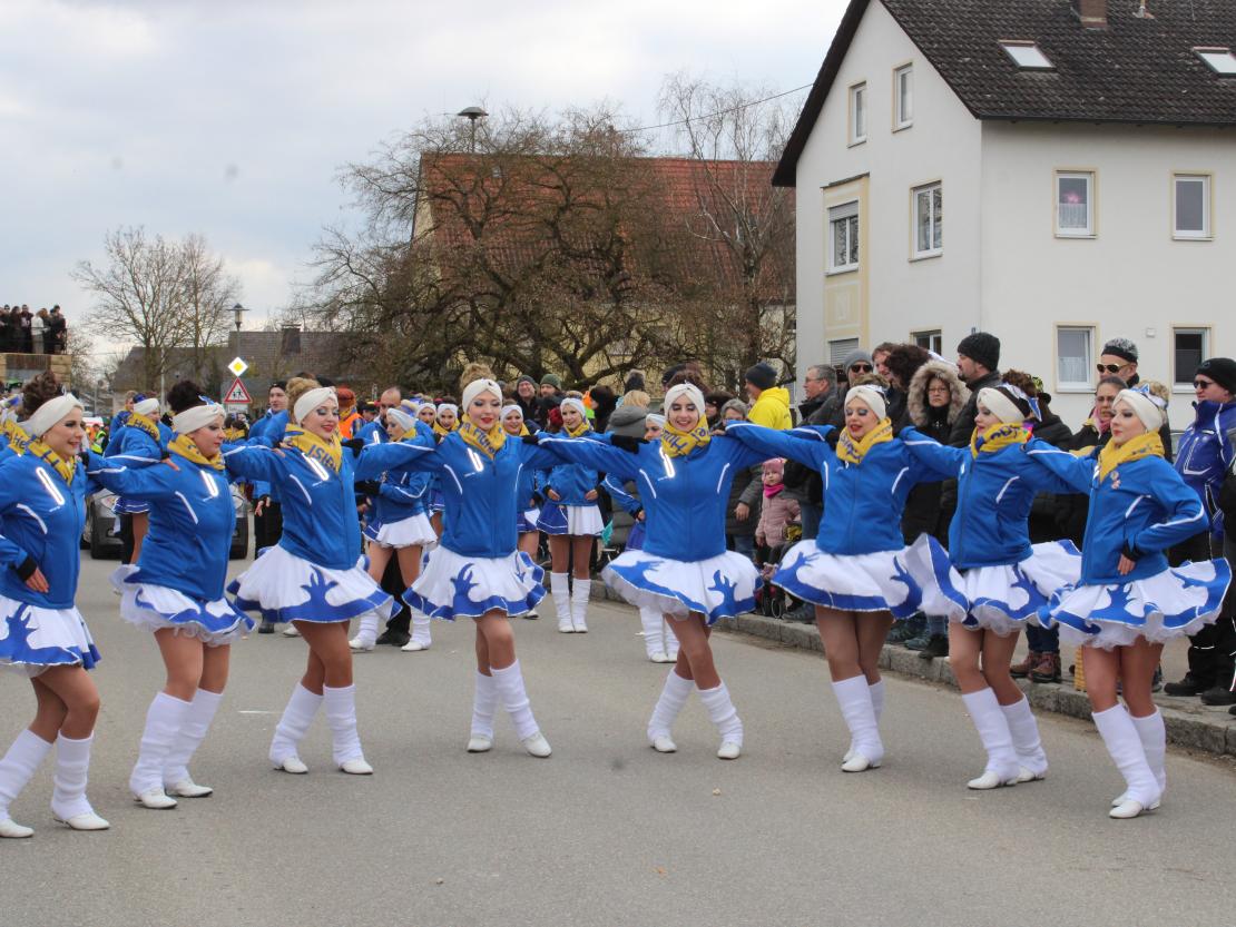 Faschingsumzug Genderkingen 2025