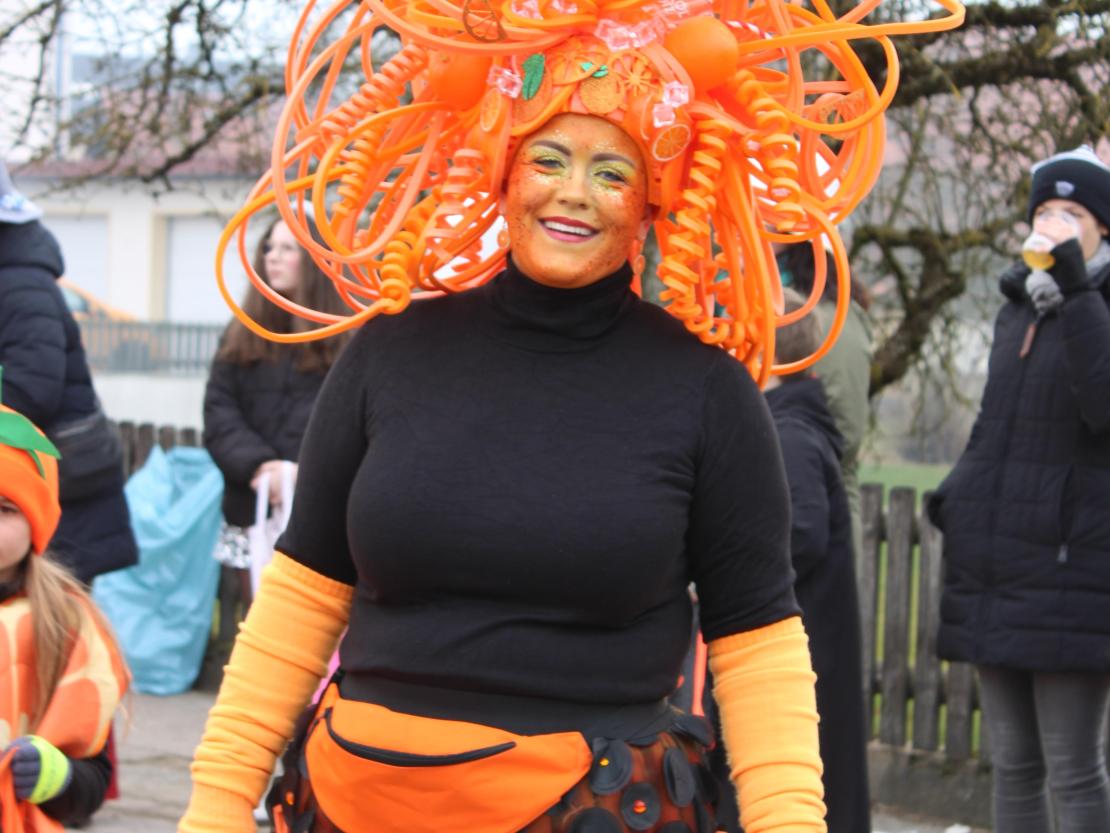 Faschingsumzug Genderkingen 2025