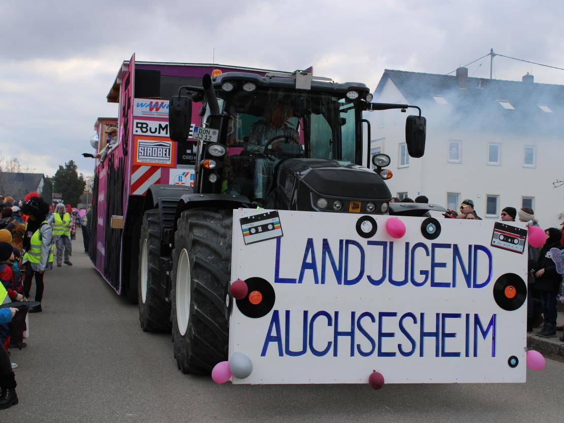 Faschingsumzug Genderkingen 2025