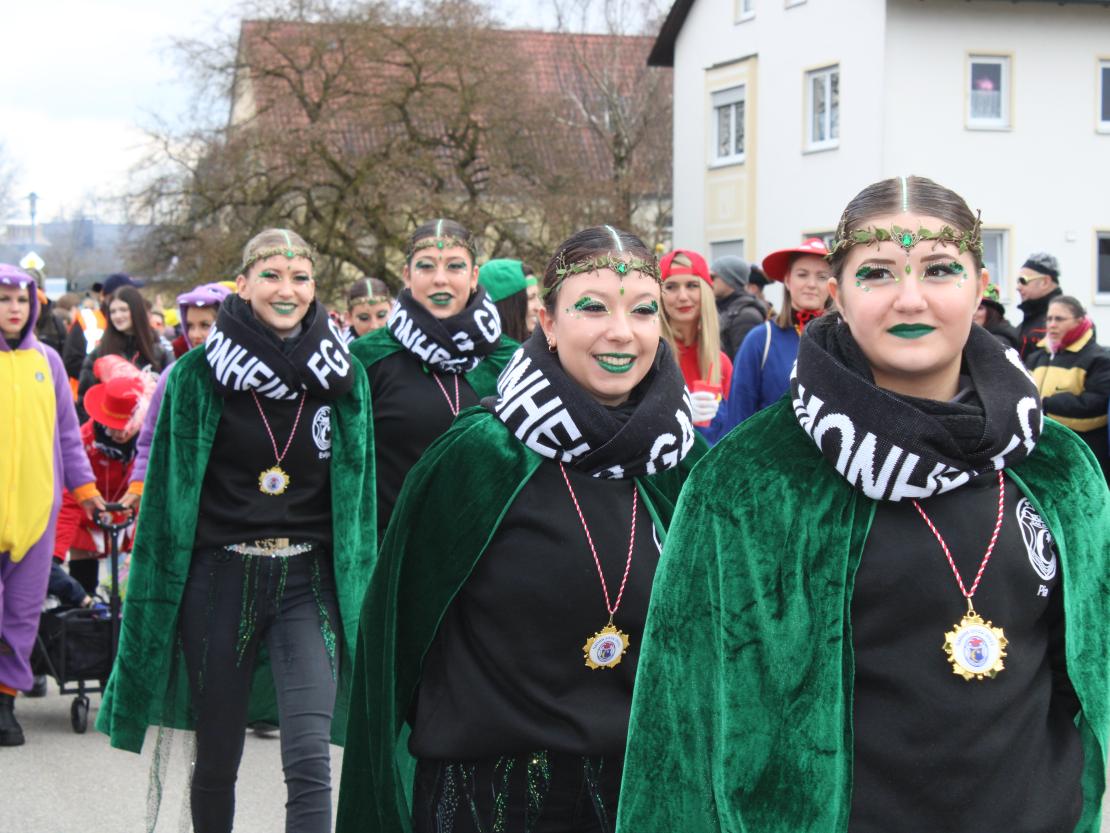 Faschingsumzug Genderkingen 2025