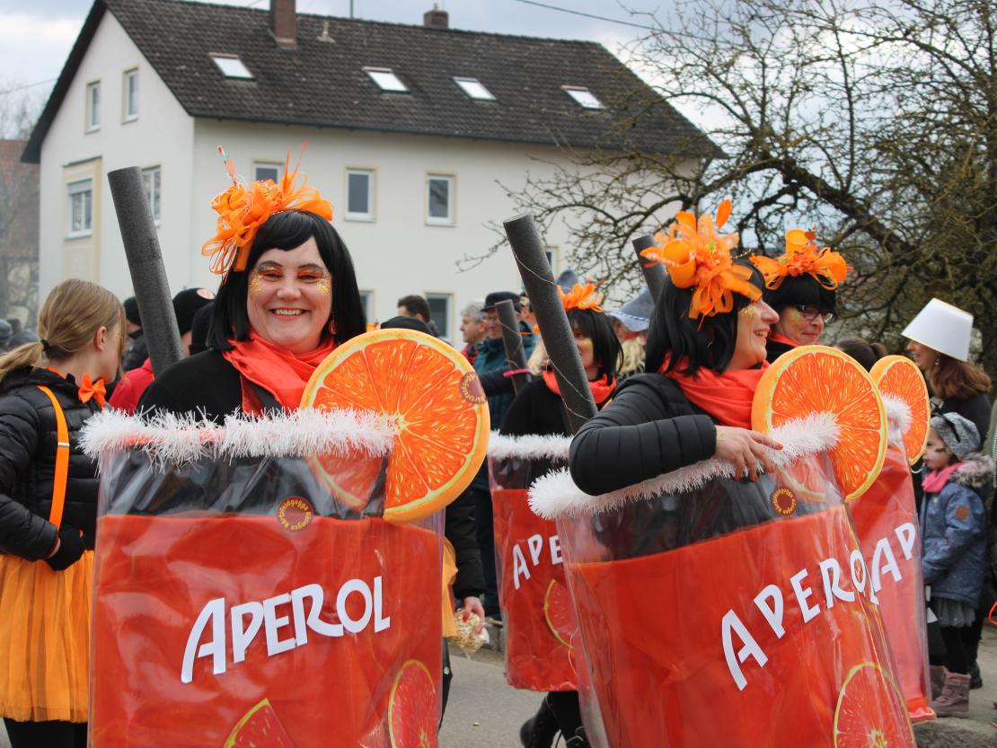 Faschingsumzug Genderkingen 2025