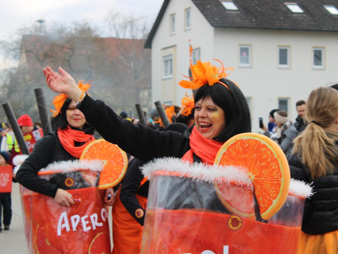 Faschingsumzug Genderkingen 2025