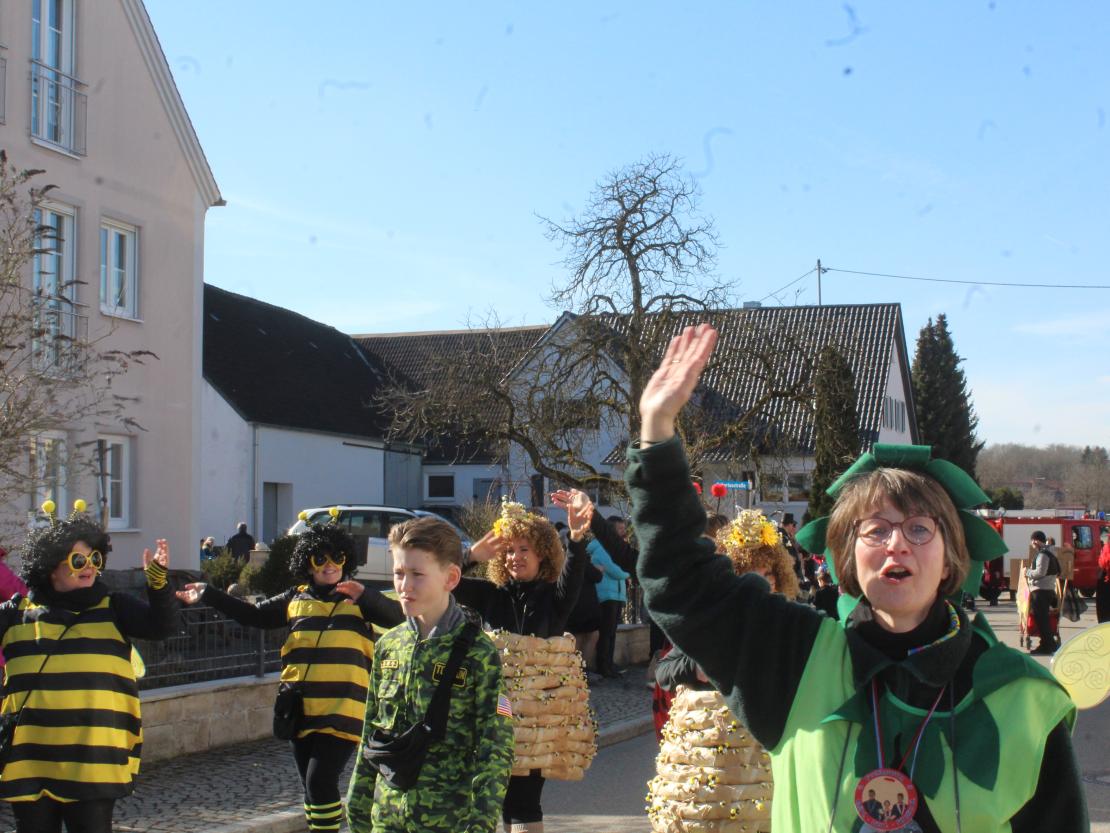 Faschingsumzug Hafenreut