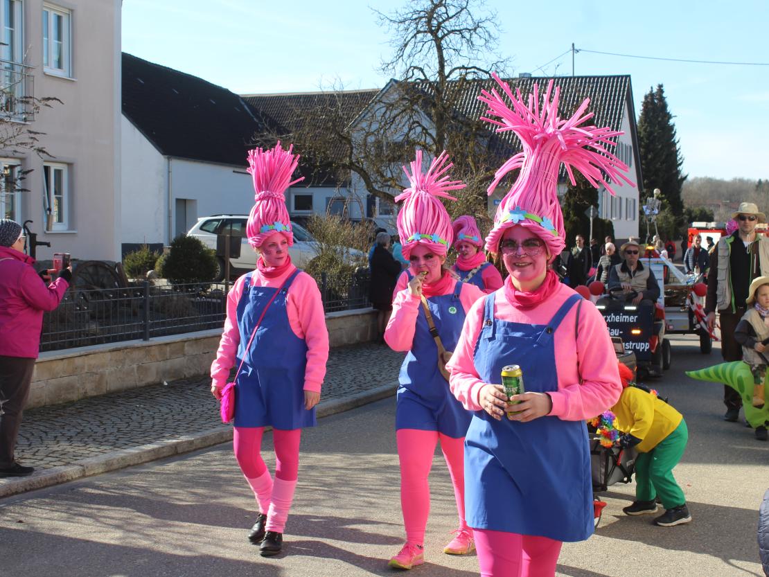 Faschingsumzug Hafenreut