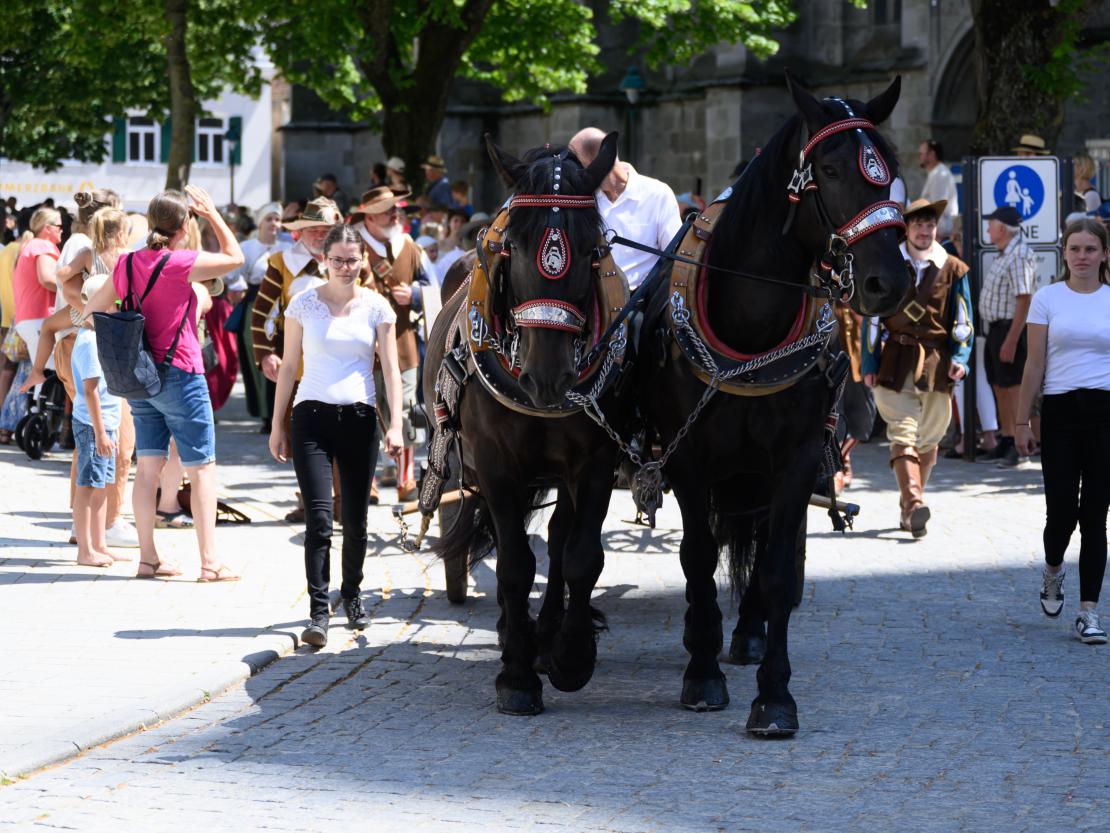 Nördlinger Mess'-Umzug 2025