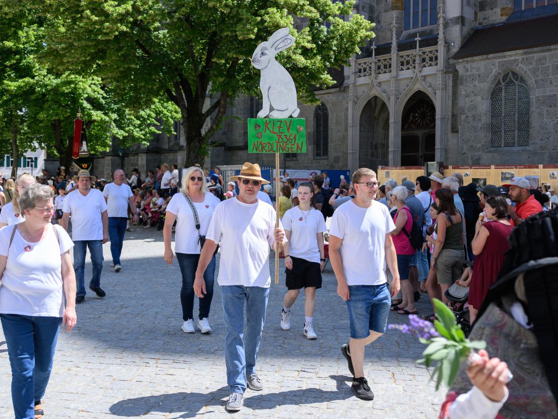 Nördlinger Mess'-Umzug 2025